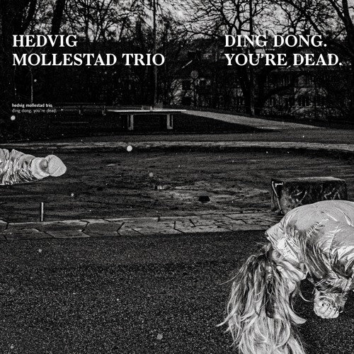 Hedvig Mollestad Trio - Leo Flash' Return To The Underworld