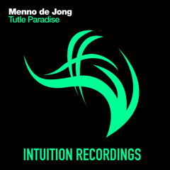Turtle Paradise (Original Mix)