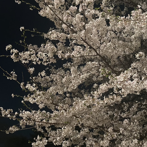 두 사람 - 원필