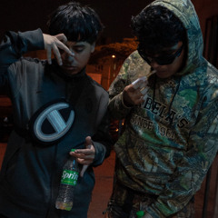 PALPITAR - SUSHY X STRESS (P.@1bearcubbb)
