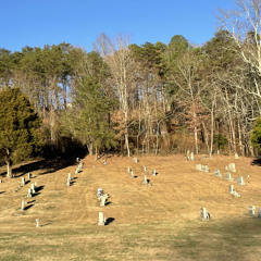 It’ll All Work Out (eventually) - Tom Petty cover but the Phoebe Bridgers version