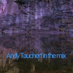 Andy Tauchert in the Mix