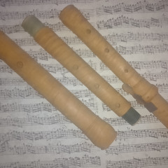G.Ph.Telemann  Fantasia nr3 h-moll