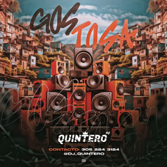 GOSTOSA🩴💃🏼-DJ QUINTERO