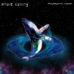 Whale Calling