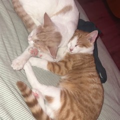 slack + @ely2e (okmax + yuko)