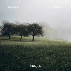 Brian David - Praga (Original Mix) [FLug Lab]