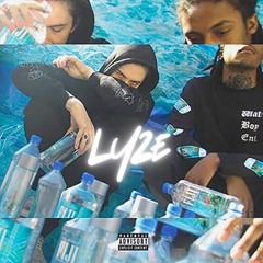 forest fires - LyZe flip