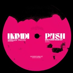 HAMDI X SKRILLEX (ft. TAICHU) - PUSH (Skxllflower UKG140 EDIT)
