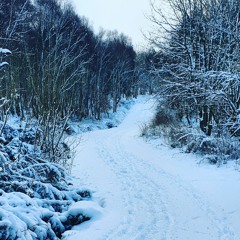 The End (true to the night).mp3