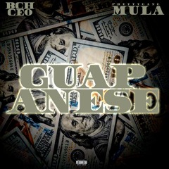 Guapanese (feat. PrettyGangMula) (Prod. by DJ Matlock)