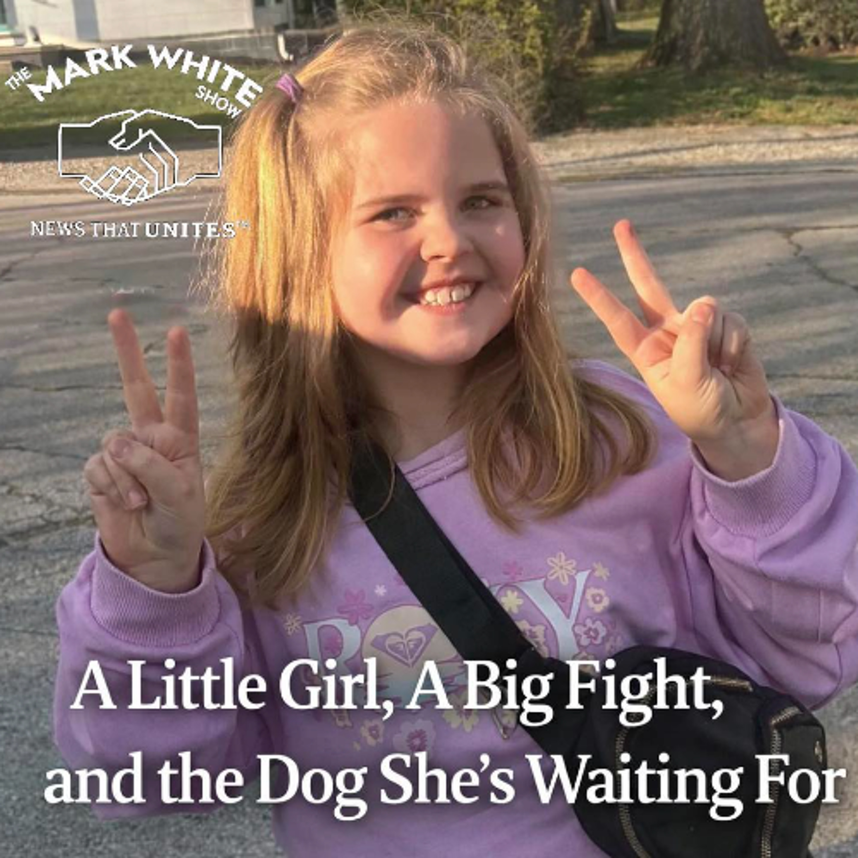 A Little Girl, A Big Fight, and the Dog She’s Waiting For episode artwork
