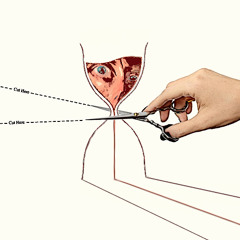 Where Did The Day Go?