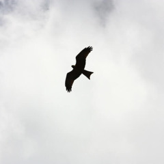 Touxhdown