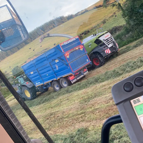 Ed sheeran ~ Bad Habits😈