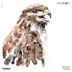 PROT3KT004 by Matec (Check Info: ALL PROCEEDS WILL BE DONATED)