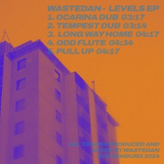 WASTEDAN - LEVELS EP