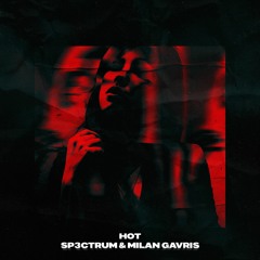 SP3CTRUM & Milan Gavris - Hot (Out Now)