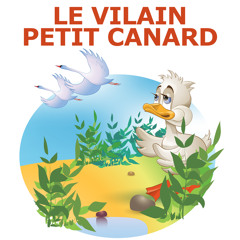 Le vilain petit canard (Section 1)