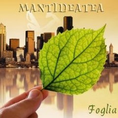4- Foglia