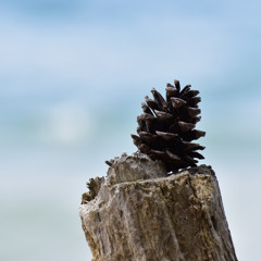 នៅស្រឡាញ់អូនដូចដើម