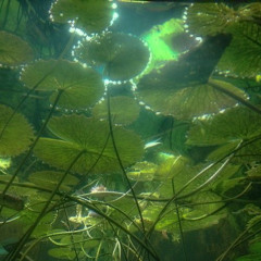 SEA OF ECHOES