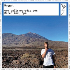 Nugget 02.03.21