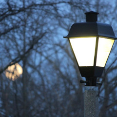 Cinema Tonight - 2025 - A New Year January 9, 2025