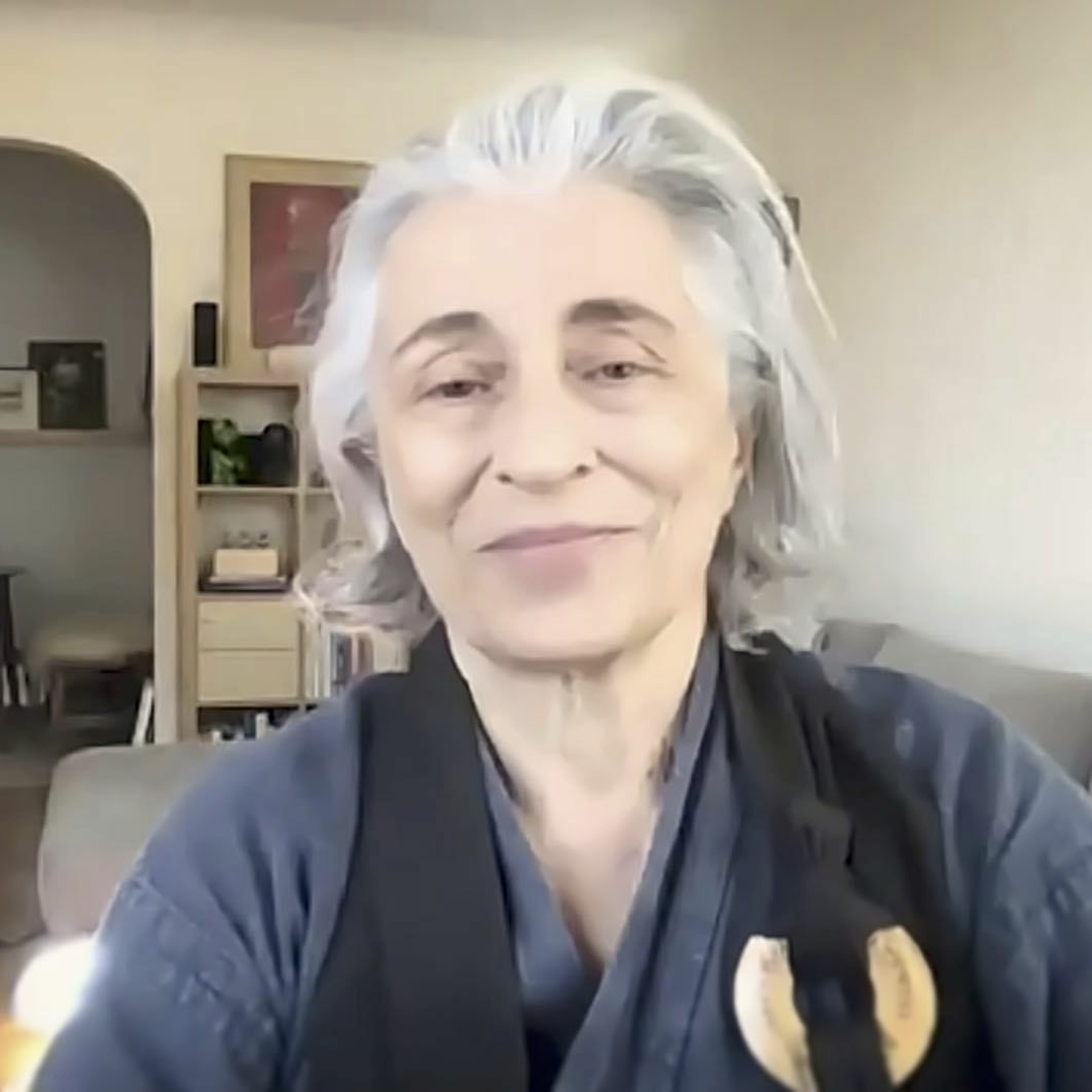After the Election – Dharma talk by Genno Linda King, November 8th, 2020 episode artwork