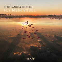 Fly Mein Vogel (Original Mix)