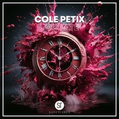 Cole Petix - Too Late [Radio Edit]