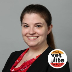 Ep 128: It Takes a Village: Establishing a Culture of Mentorship with Dr. Kate Boatright