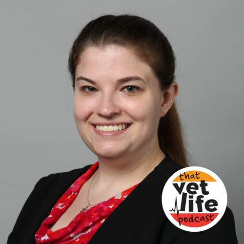 Ep 128: It Takes a Village: Establishing a Culture of Mentorship with Dr. Kate Boatright