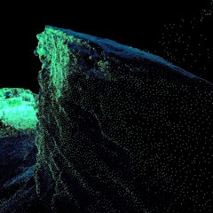 Clams Casino - Twilit (Spoompi Flip) [Preview]