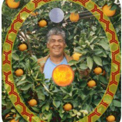 Daime Sorrindo - Estudo