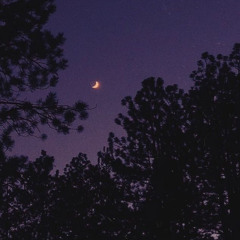 여우비 . cover