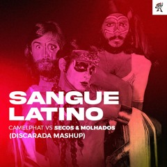 CamelPhat vs Secos & Molhados - Sangue Latino (Discarada Mashup)