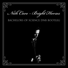 Nick Cave - Bright Horses (Bachelors Of Science Bootleg)
