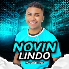 W7 MARTINS - ELA GOSTOU DO NOVIN LINDO GOSTOSO - FUNK RJ TIKTOK - LANÇAMENTO