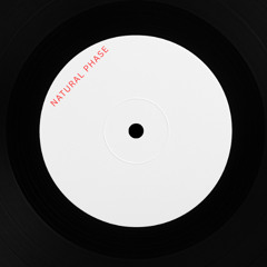 Natural Phase - Disbelief