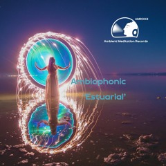 Ambiophonic - Estuarial (Original Mix)