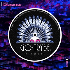 ECost, Renato Rinaldim - Miracles (Original Mix)[GO TRYBE RECORDS]