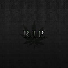 angles never die🕊