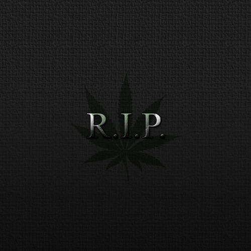 angles never die🕊