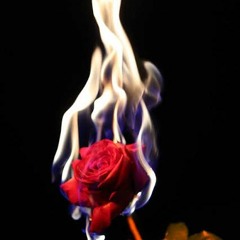 Yaniyorum - Altin Gün