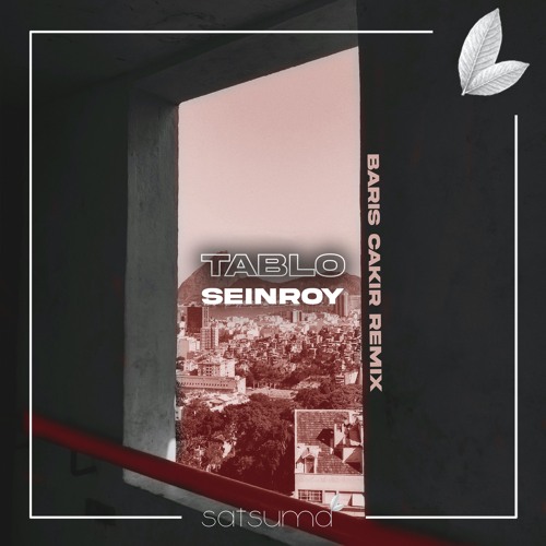 Seinroy - Tablo (Barış Çakır Remix)