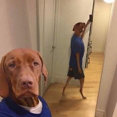 rxknephew - crushed oxycodone