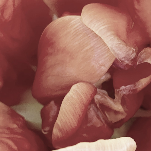 fadersgestalt [demo]