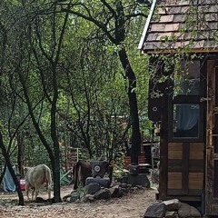 Rebirth techno stage 2k25