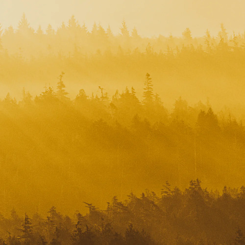 haze